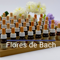 Flores de Bach Chema Fdez Naturópata