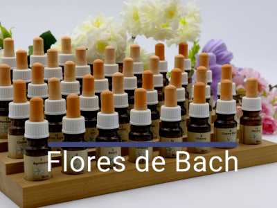 Flores de Bach Chema Fdez Naturópata